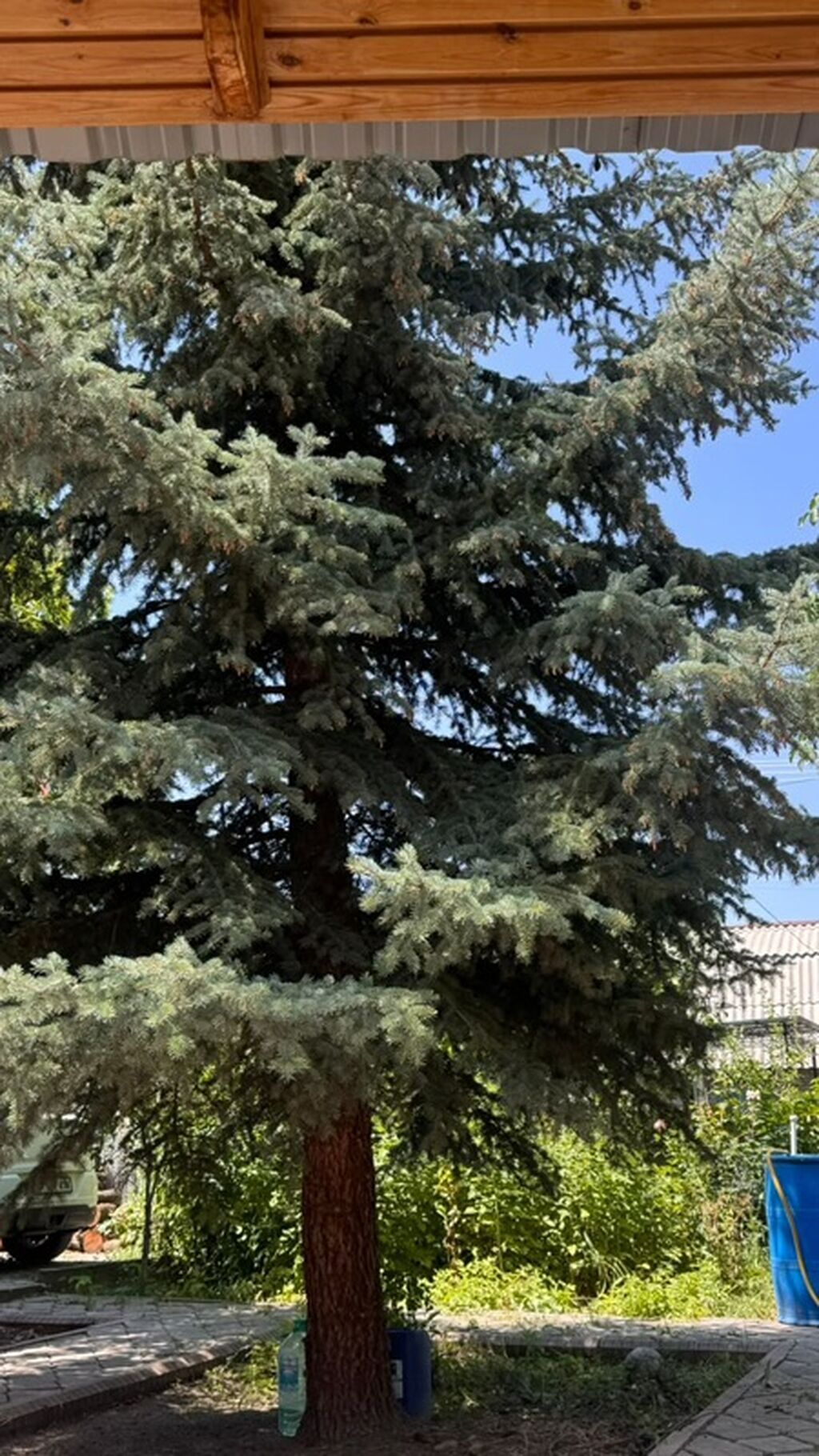 8 соток, Красная книга, Тех паспорт