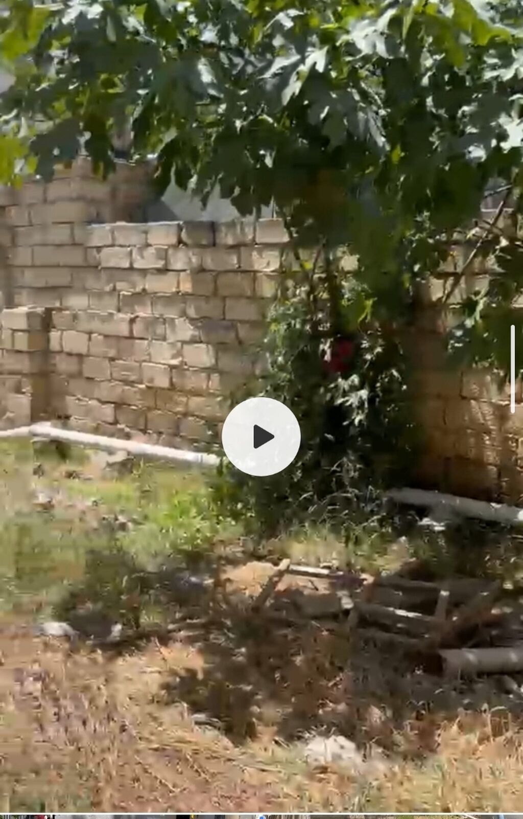 Masazır 3 otaqlı, 110 kv. m, Yeni təmirli