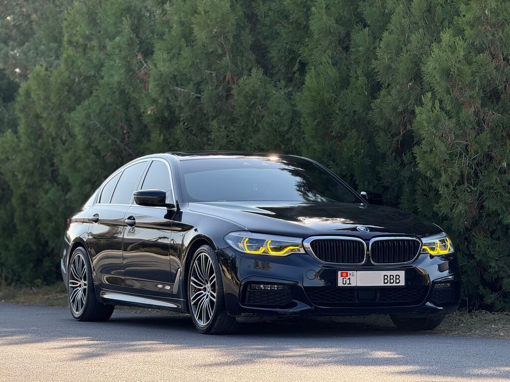 BMW 5 series: 2019 г., 2 л, Автомат, Бензин, Седан: фото 1