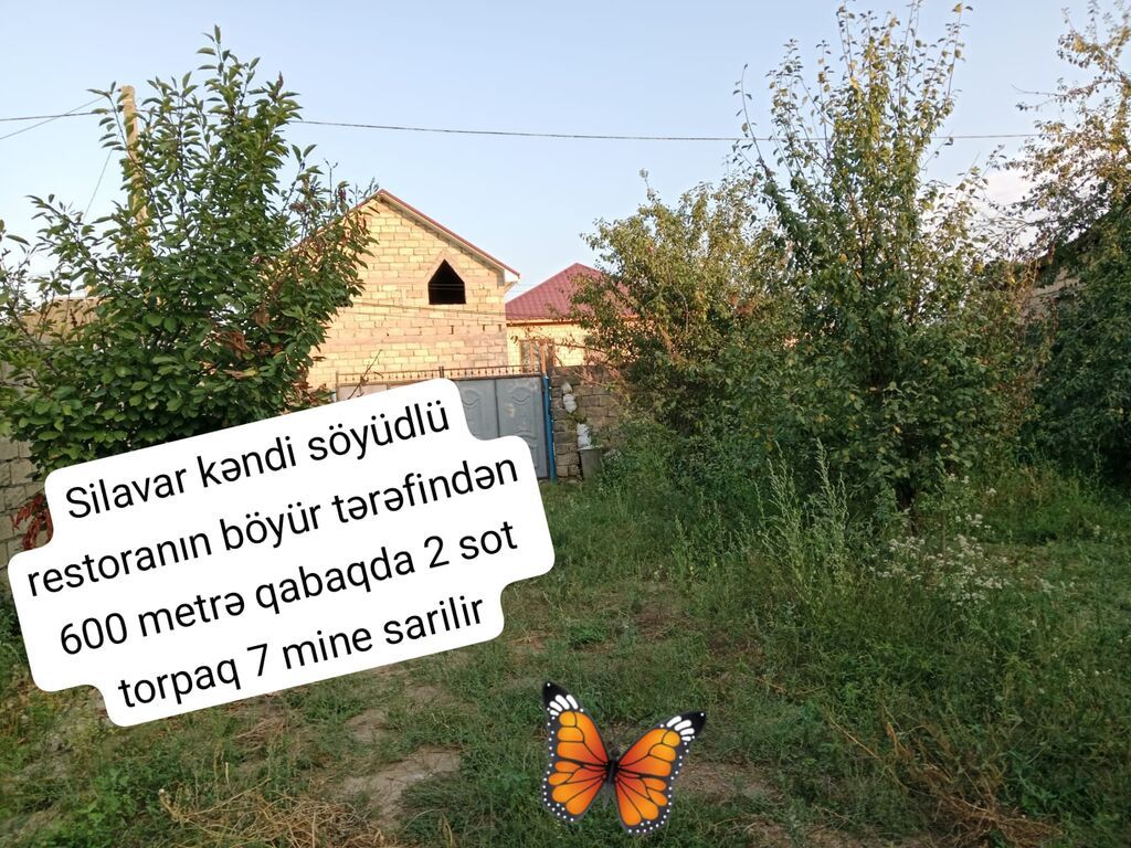 2 sot, Mülkiyyətçi, Kupça (Çıxarış)