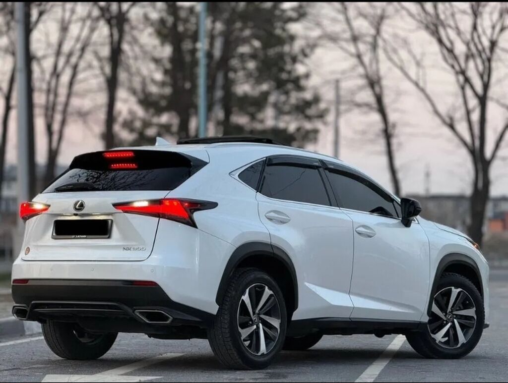 Lexus NX 300, 2018 г., белый, автомат: фото 4