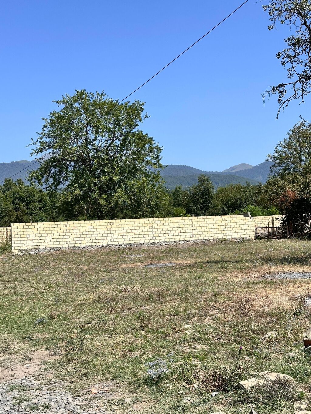 10 sot, Tikinti, Kupça (Çıxarış)