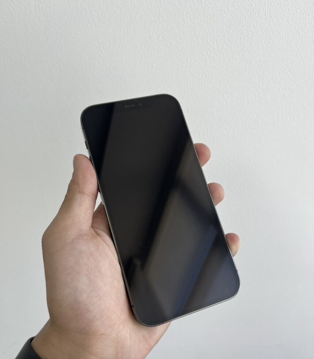 IPhone 12 Pro, цвет «Graphite» На экране есть пятно на работу не как: фото 2