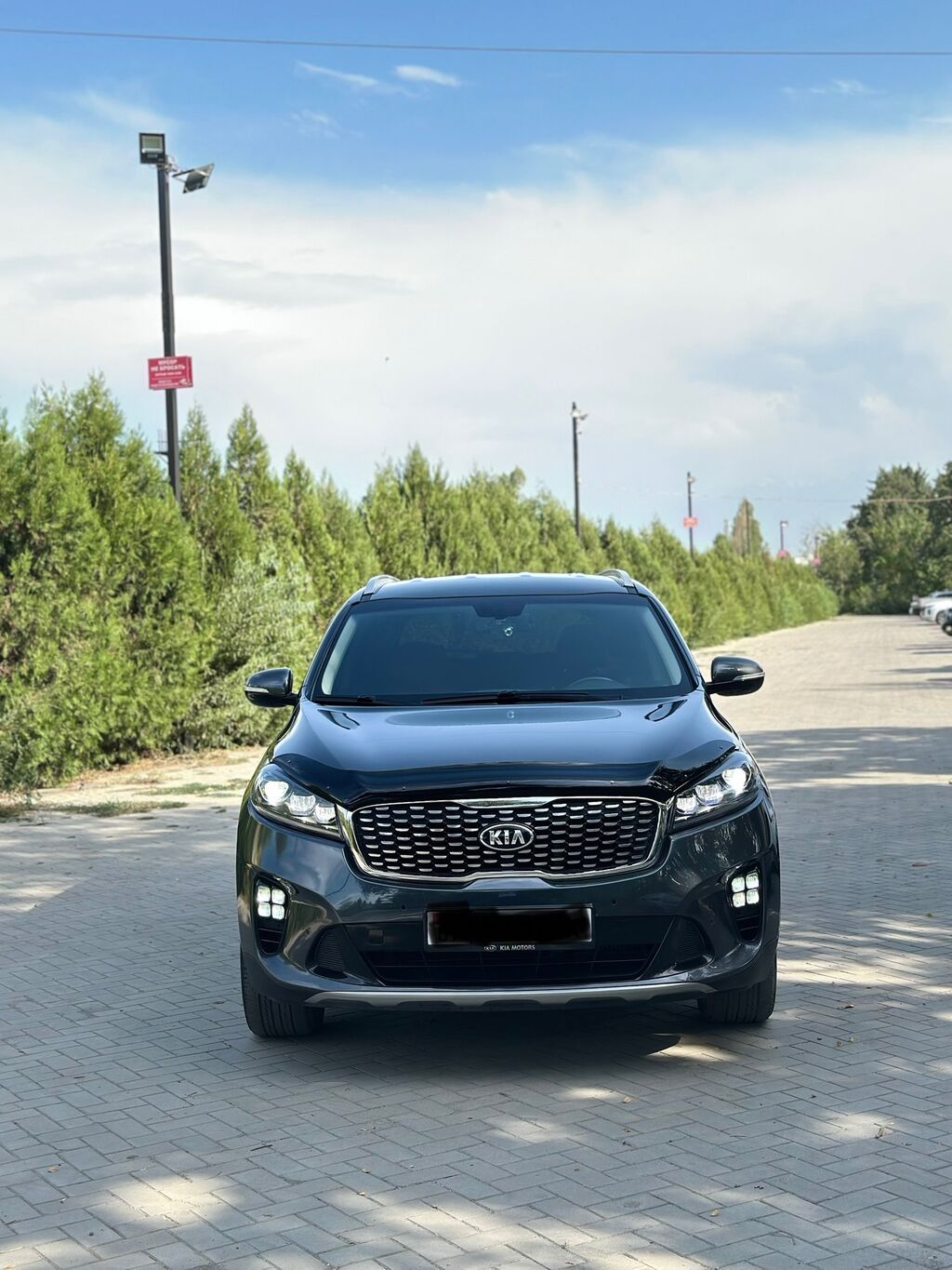 Kia Sorento: 2017 г., 2.2 л, Автомат, Дизель, Кроссовер: фото 5