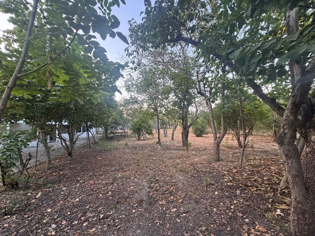 6 otaqlı, 177 kv. m, Kredit yoxdur, Orta təmir