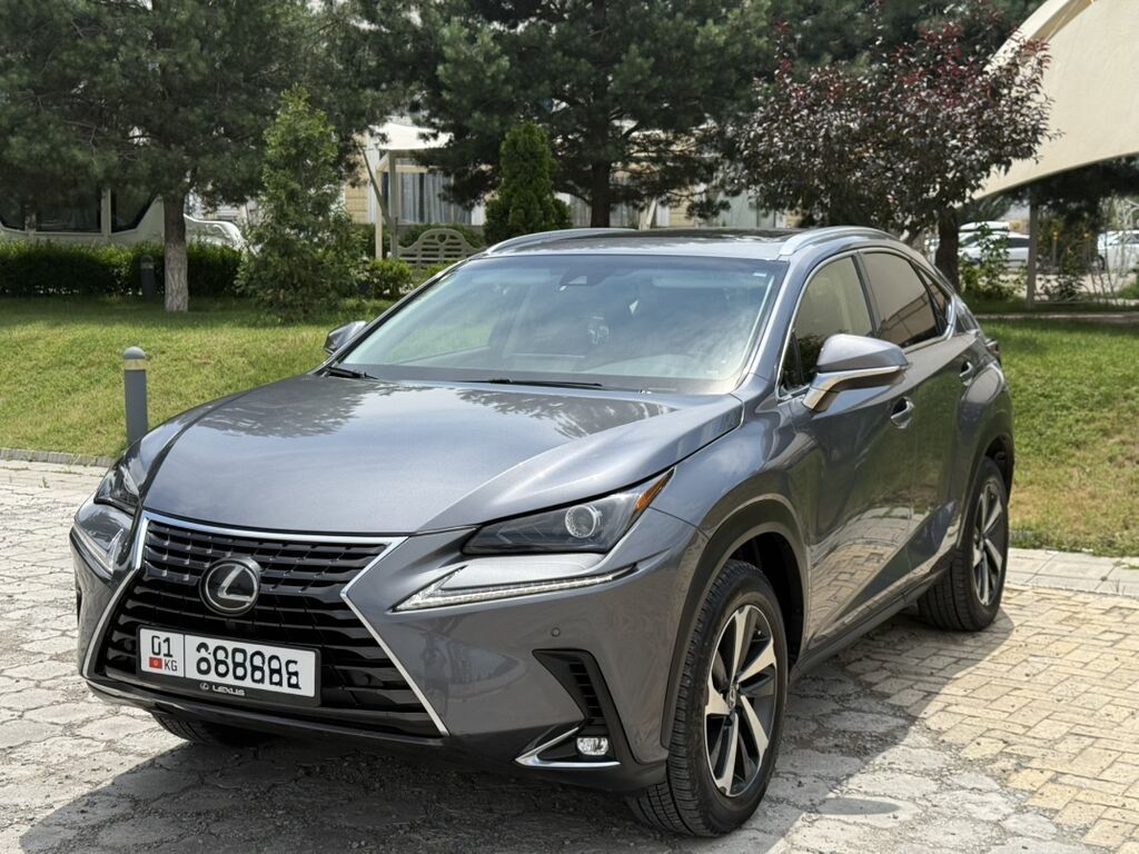 Lexus NX: 2019 г., 2 л, Автомат, Бензин, Кроссовер: фото 2