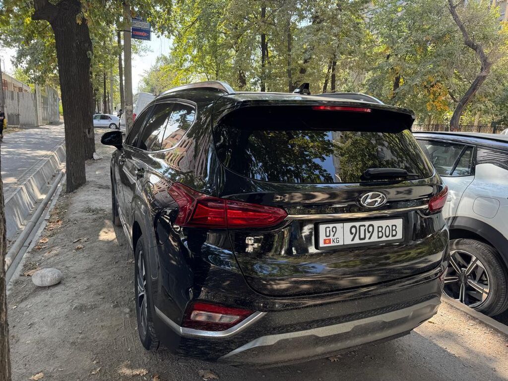 Hyundai Santa Fe: 2019 г., 2 л, Автомат, Бензин, Кроссовер: фото 3