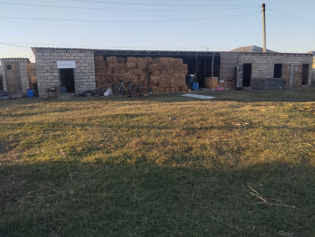 Xaçmaz, 663 kv. m, 4 otaqlı, Qaz, İşıq, Su