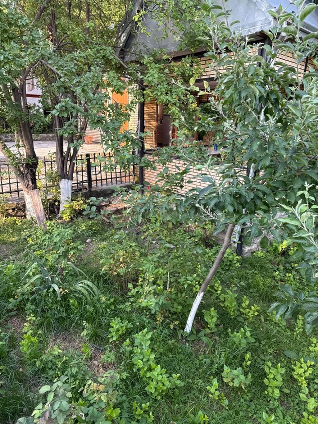 İsmayıllı, Xanagah kəndində hovuzlu 3 otaqlı günlük ev kirayə verilir