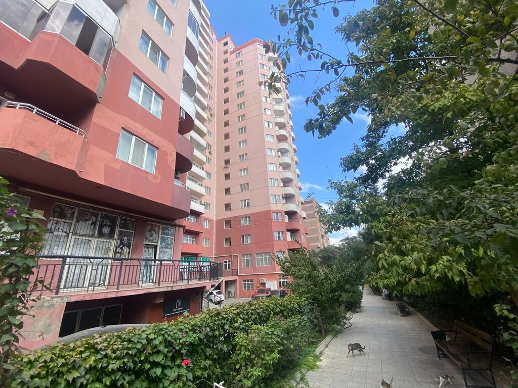 2 otaqlı, Yeni tikili, 65 kv. m
