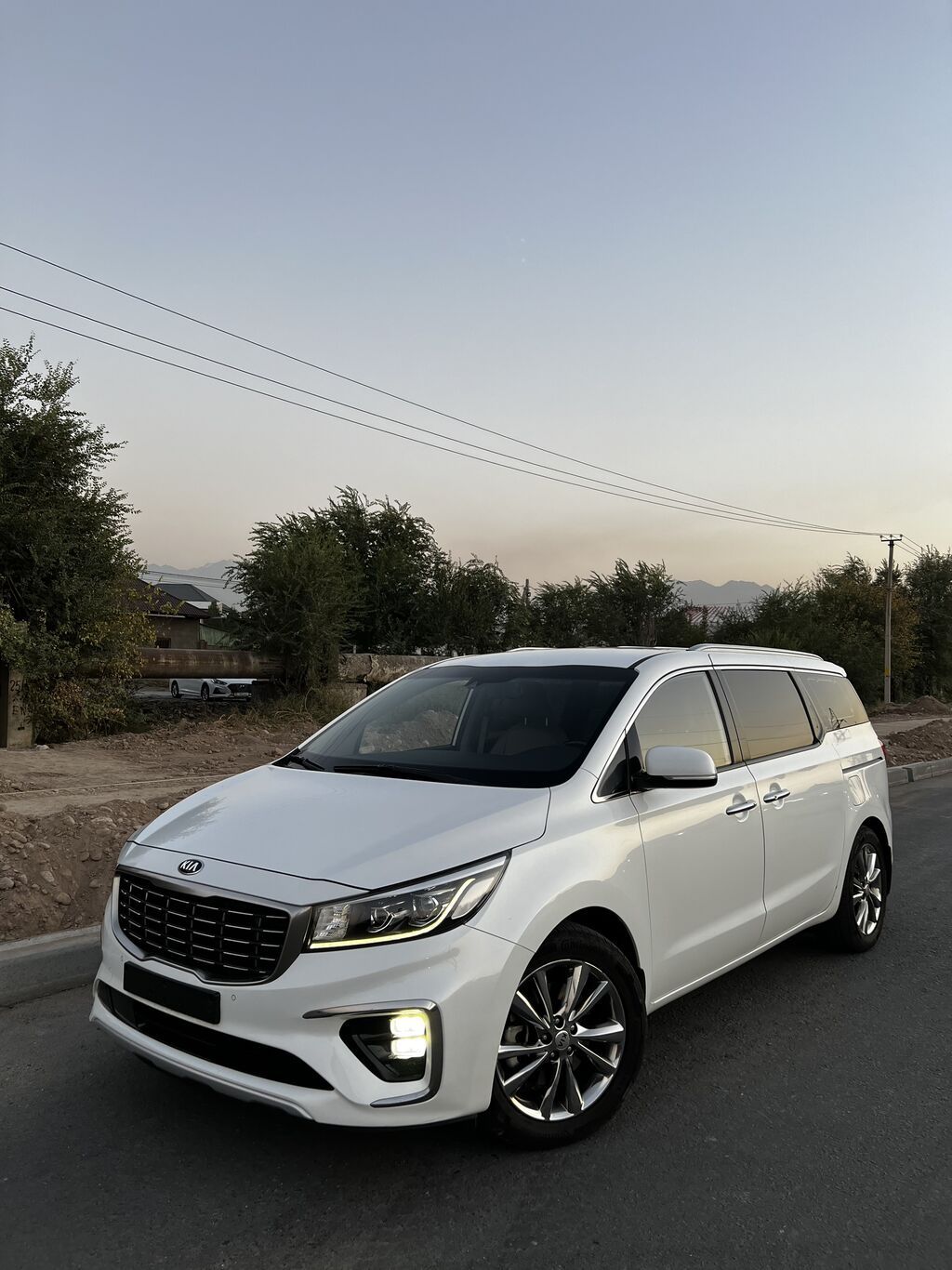 Kia Carnival: 2019 г., 2.2 л, Автомат, Дизель, Минивэн: фото 1