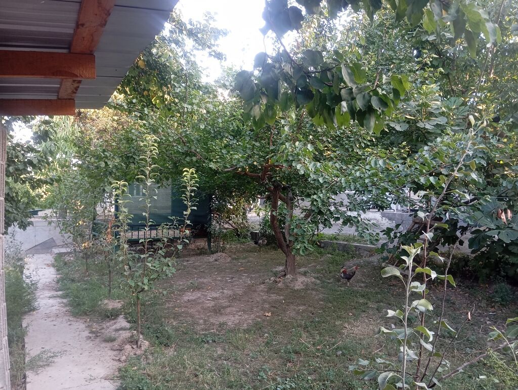 Срочно продается участок с домом, угловой, возле канала в: фото 5