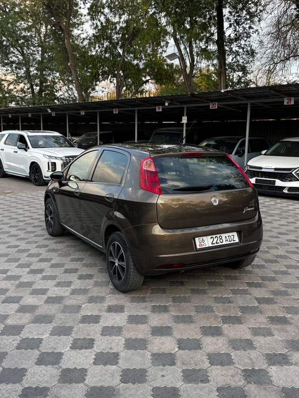 Fiat Grande Punto: 2008 г., 1.2 л, Механика, Бензин, Хэтчбэк: фото 4