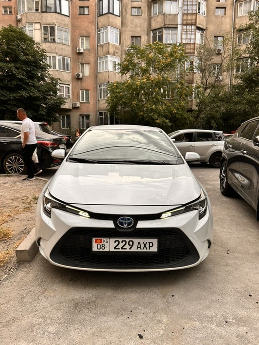 Toyota Corolla: 2020 г., 1.8 л, Гибрид, Седан