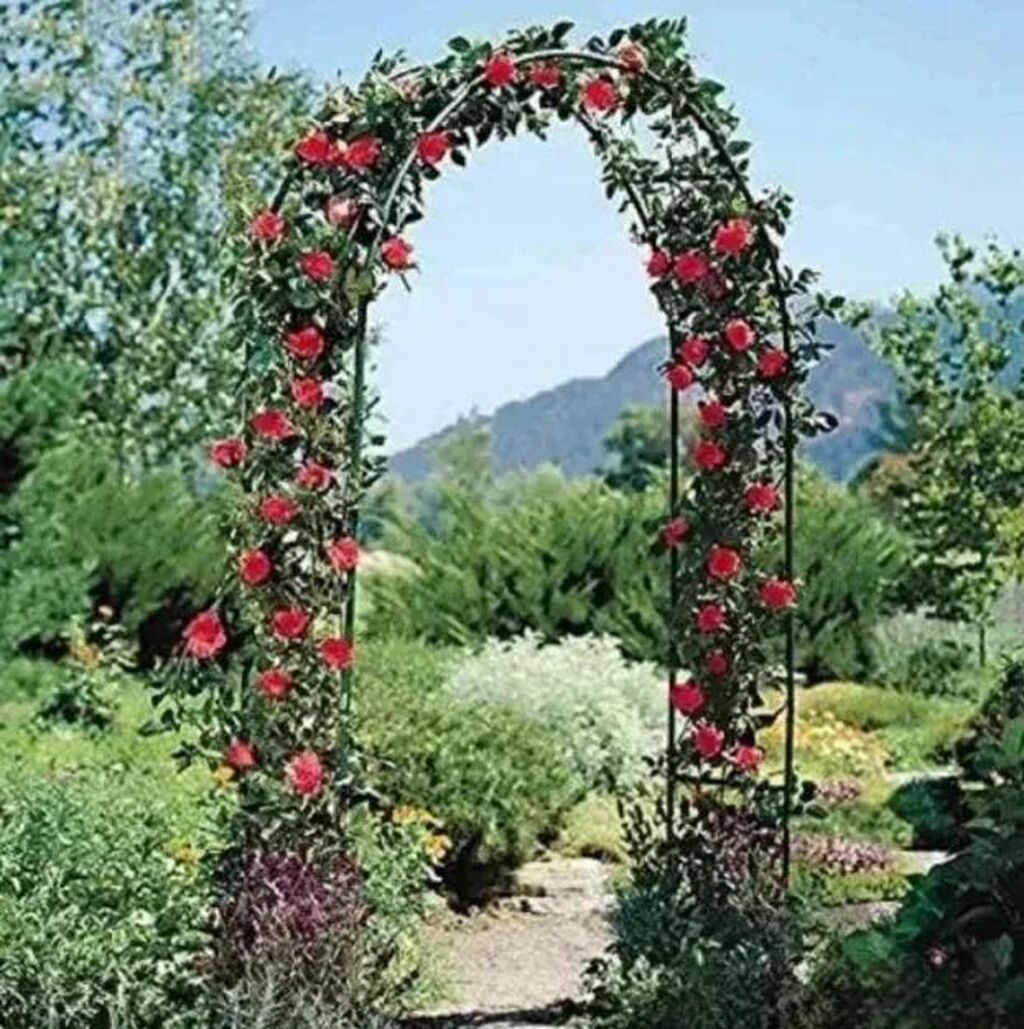 Baštenska dekoracija: LIVARNO Home – Metalni luk za ruže (Rose Arch) - Dekorativan vrtni