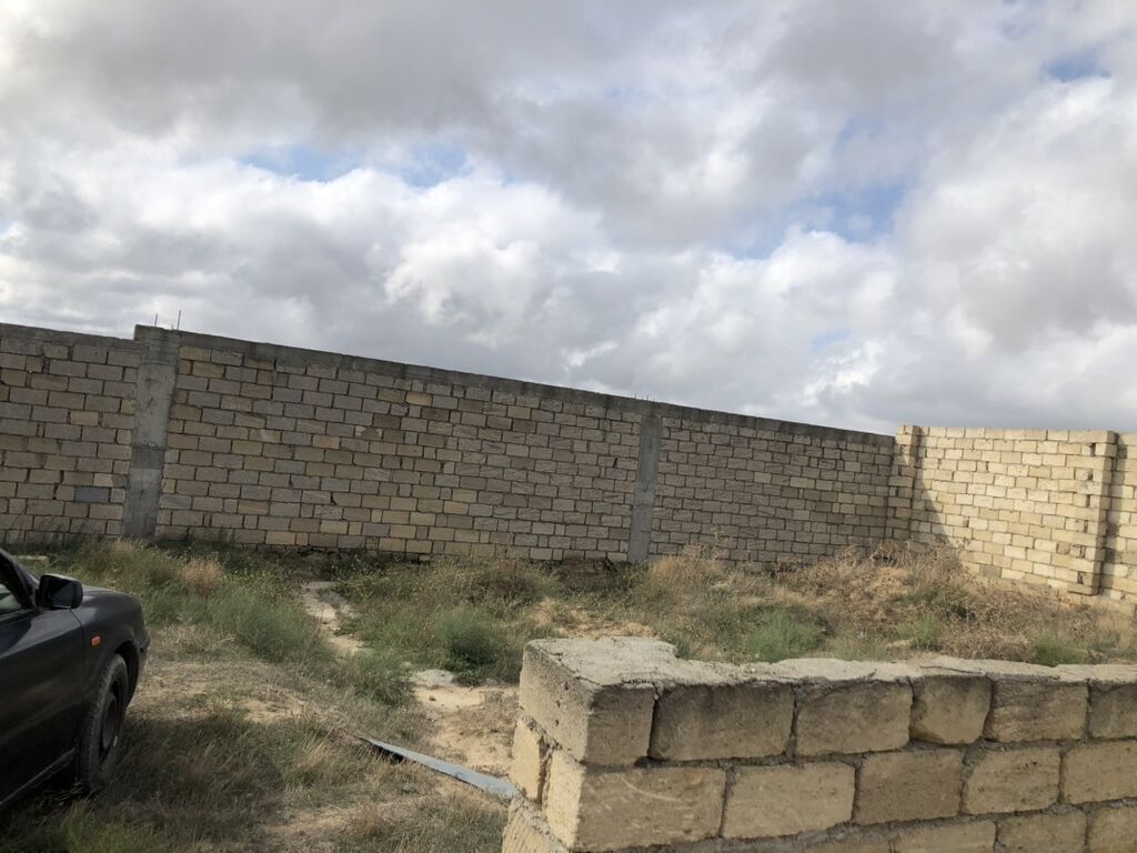 Tikinti, Bələdiyyə