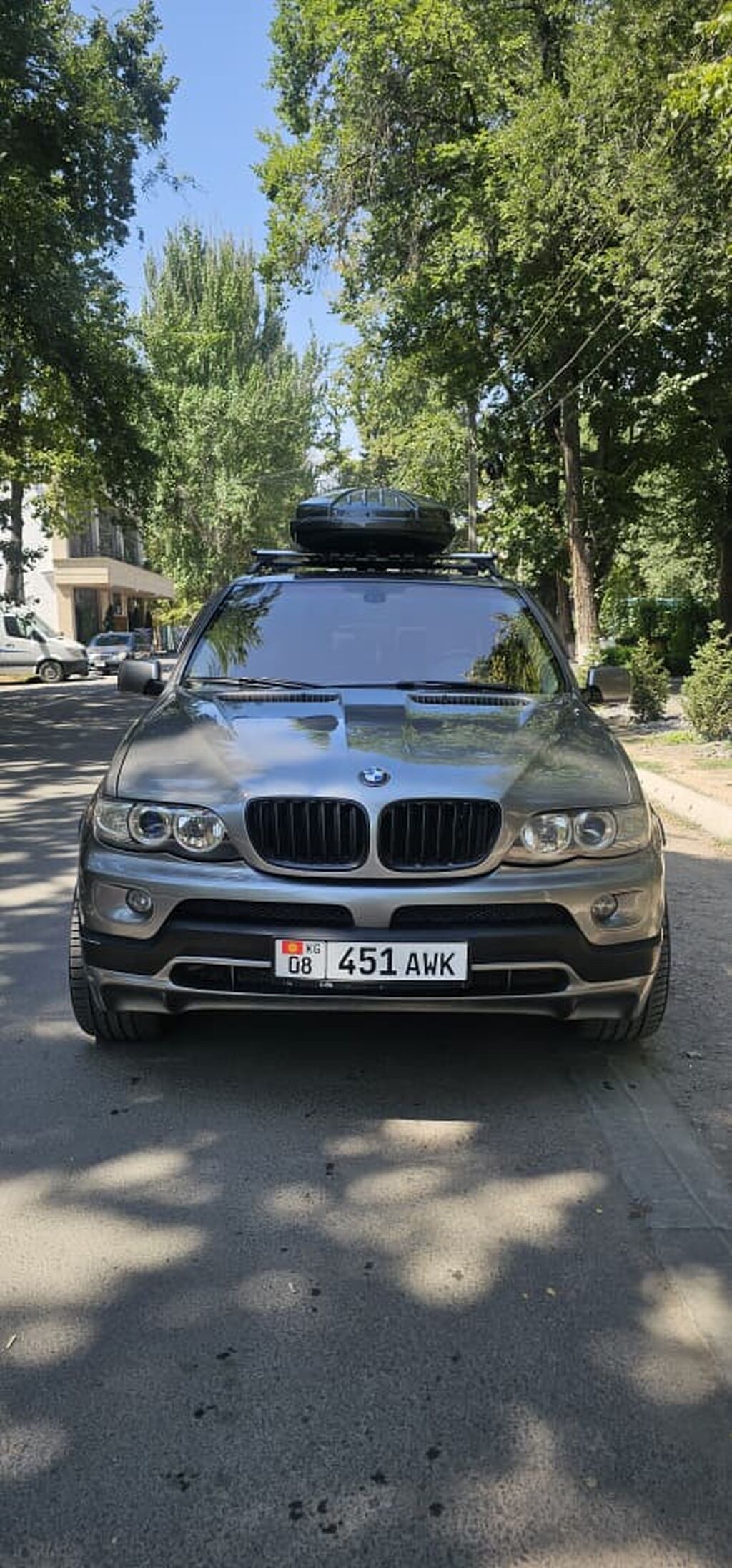 BMW X5: 2004 г., 4.4 л, Автомат, Бензин, Кроссовер: фото 5