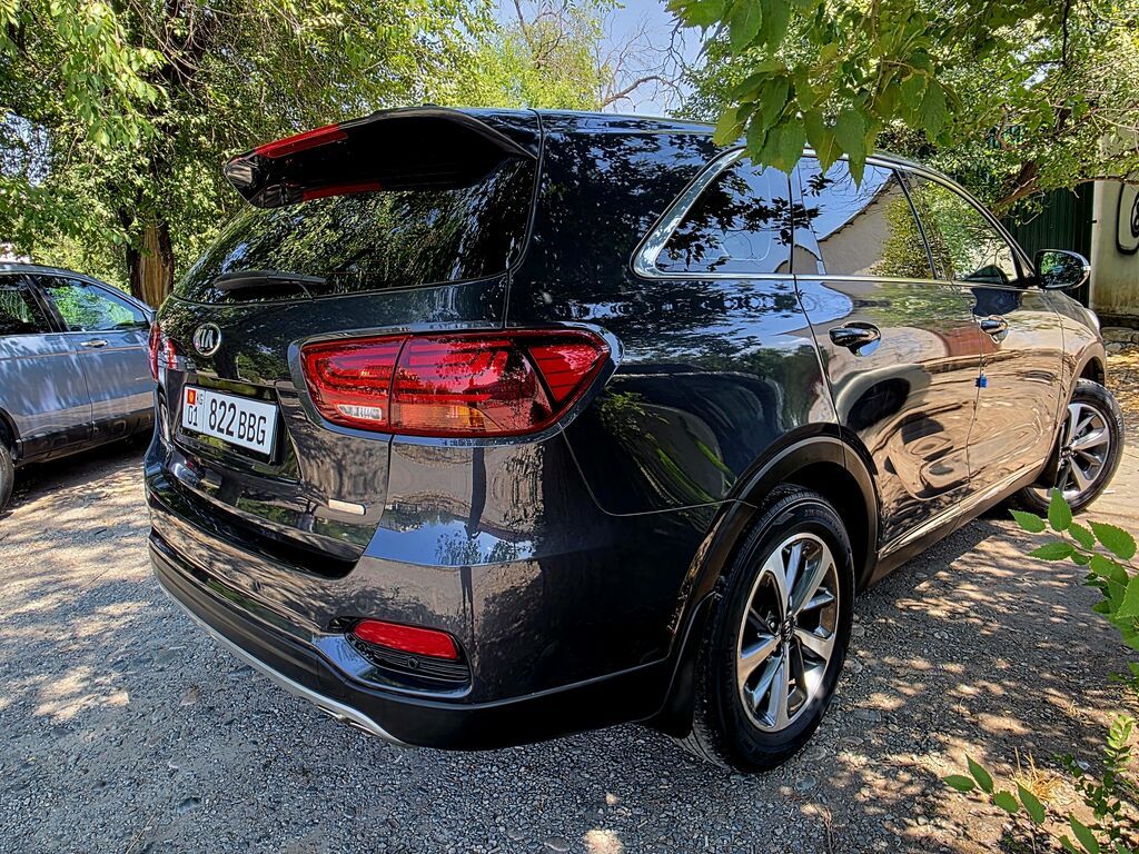 Kia Sorento: 2019 г., 2 л, Автомат, Дизель, Кроссовер: фото 3