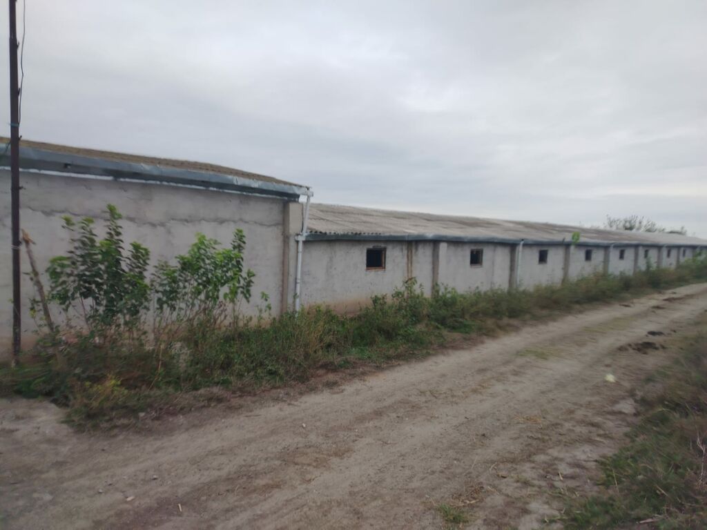 Ferma mal bazarina bir kilometr mesafede yerlesirqarabag su