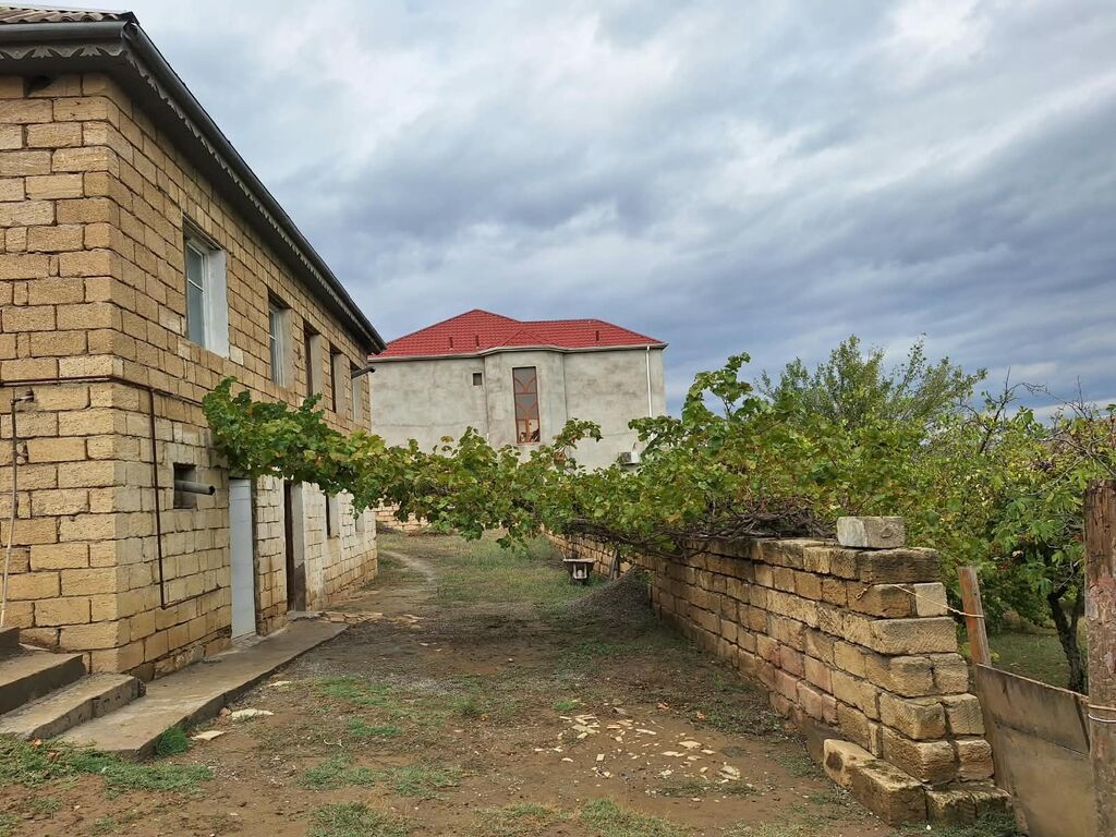 1100 sot, Tikinti, Bələdiyyə