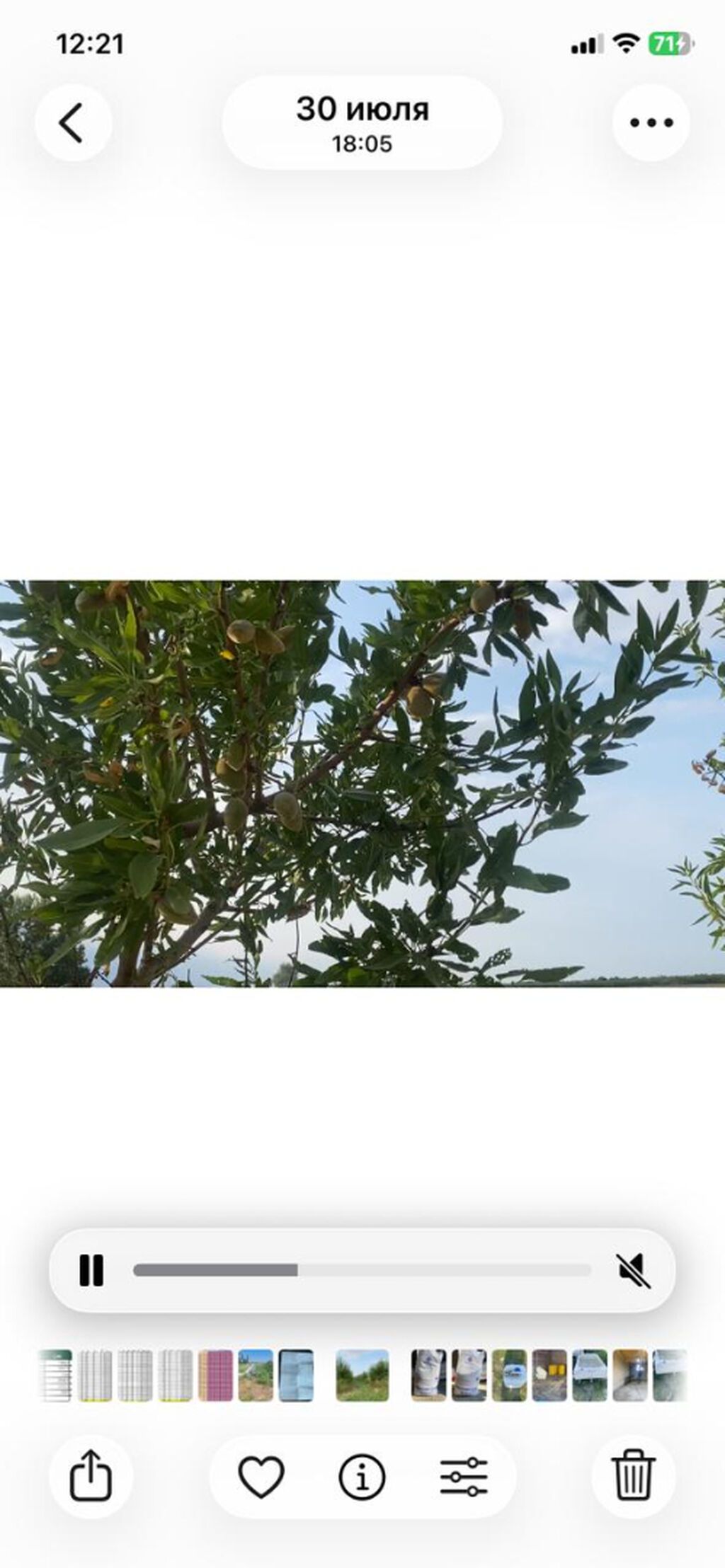 412 sot, Kənd təsərrüfatı, Mülkiyyətçi, Kupça (Çıxarış)