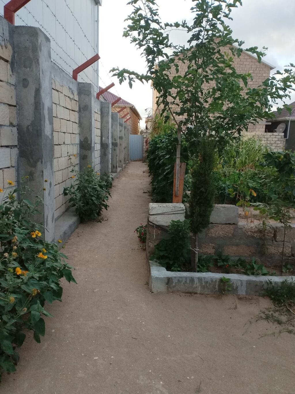2-room house for rent in Binə, 40 m², 270 AZN/mo, photo 2 / 12
