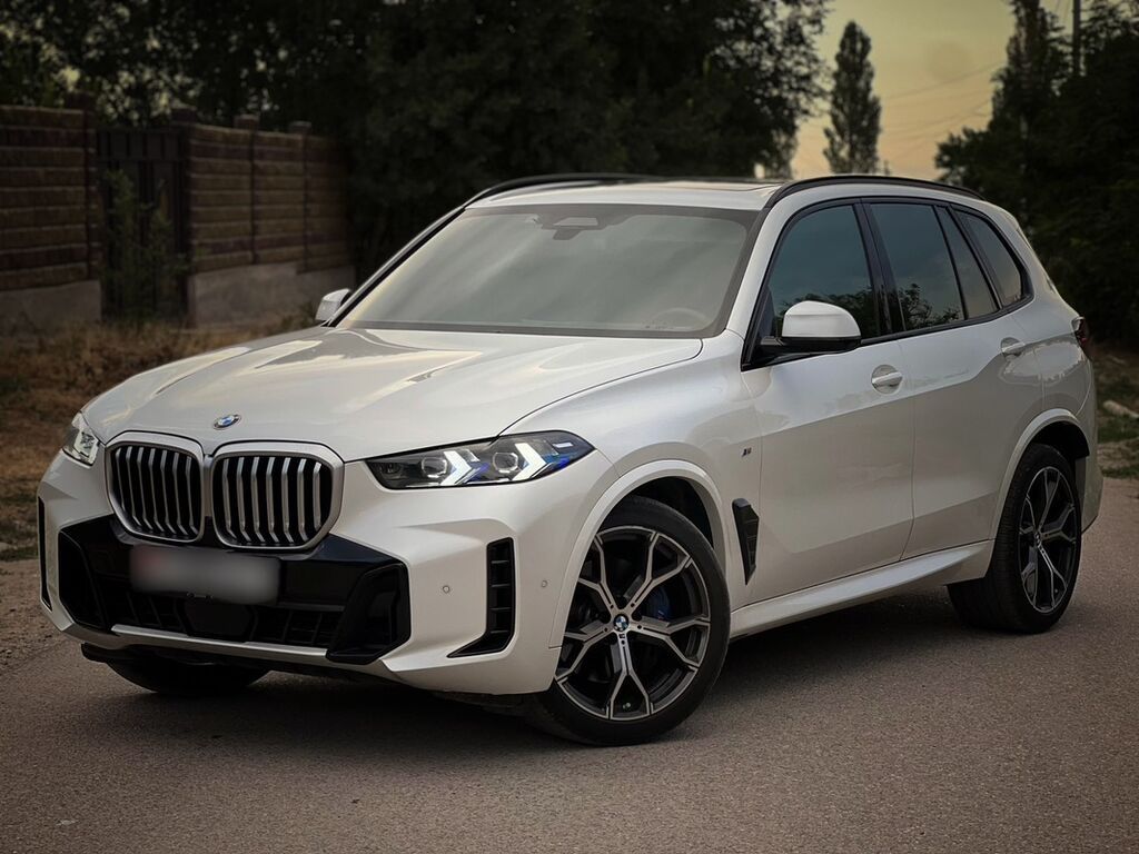 BMW X5: 2024 г., 3 л, Автомат, Бензин, Кроссовер: фото 1