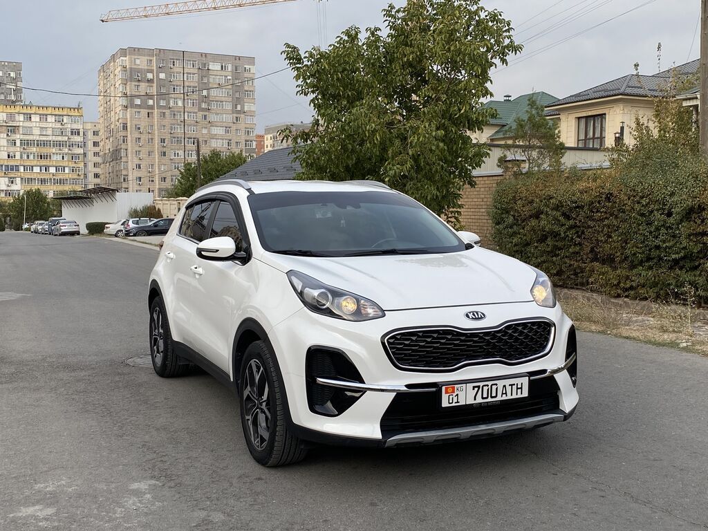 Kia Sportage: 2019 г., 2 л, Автомат, Дизель, Кроссовер: фото 3
