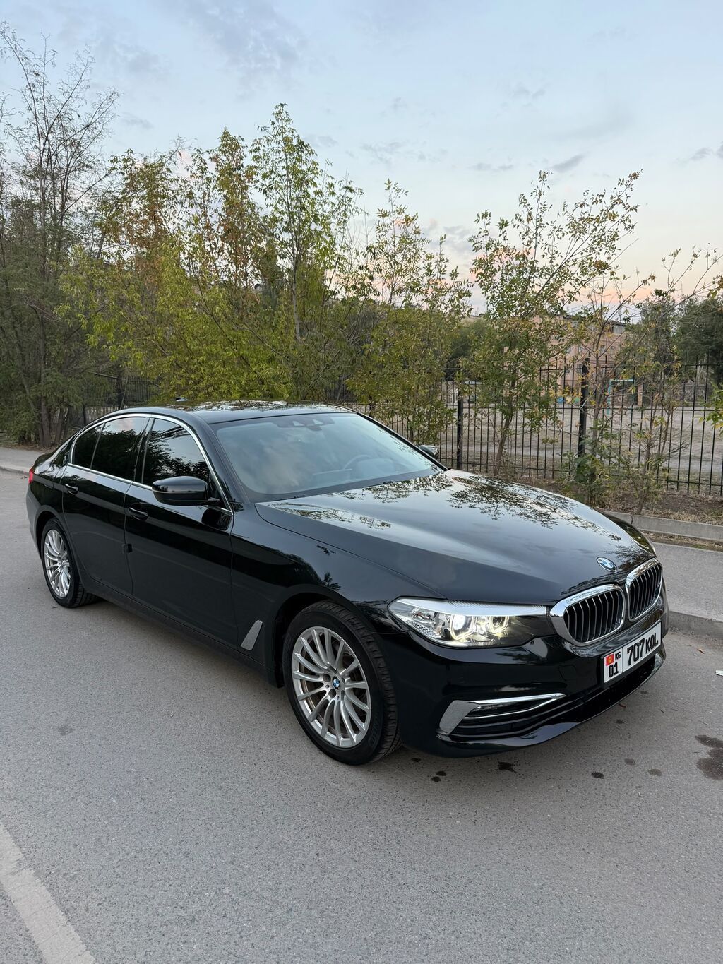BMW 5 series: 2019 г., 2 л, Автомат, Бензин, Седан: фото 3