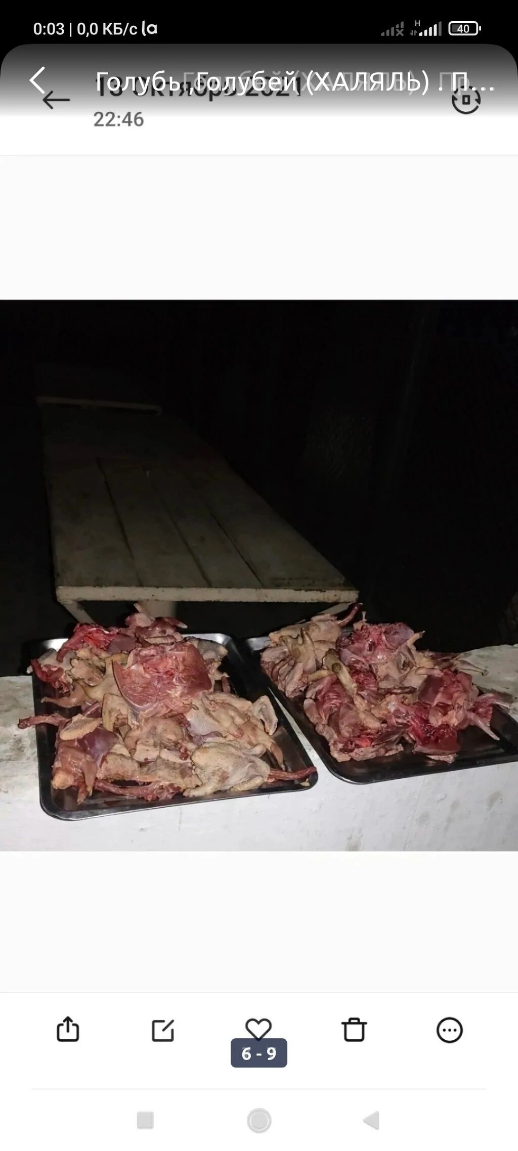 ГолубиКогучкон (ХАЛЯЛЬ) . Продаю голубей породистые есть, есть на — фото 4