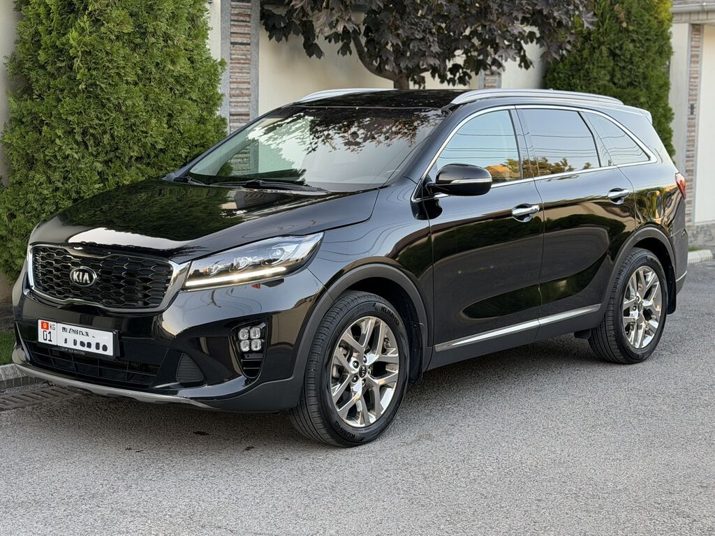 Kia Sorento: 2019 г., 2.2 л, Автомат, Дизель, Кроссовер: фото 2