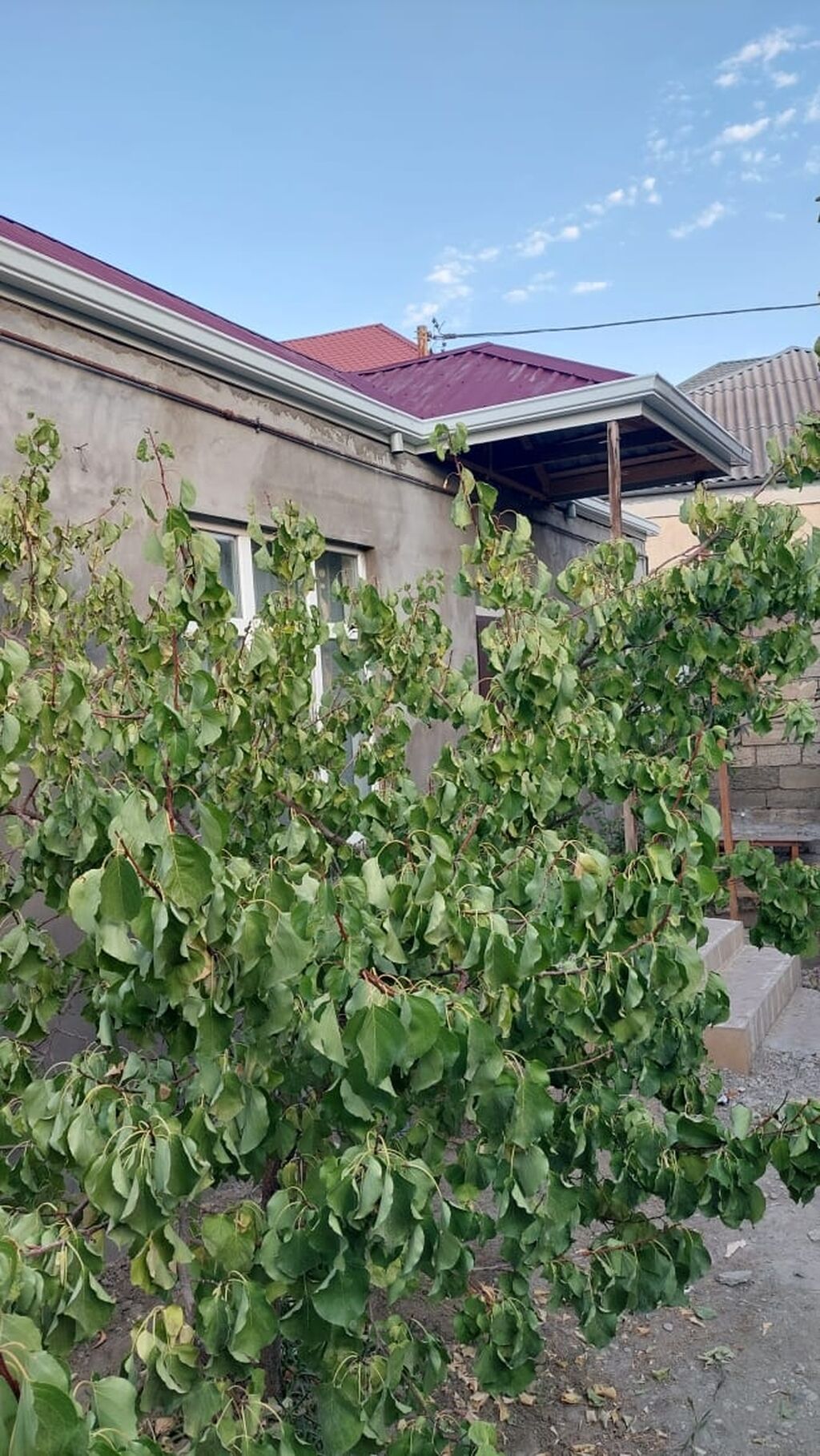 Дом, 3-комн., 100 м², сдаётся в аренду, Bakı — 3