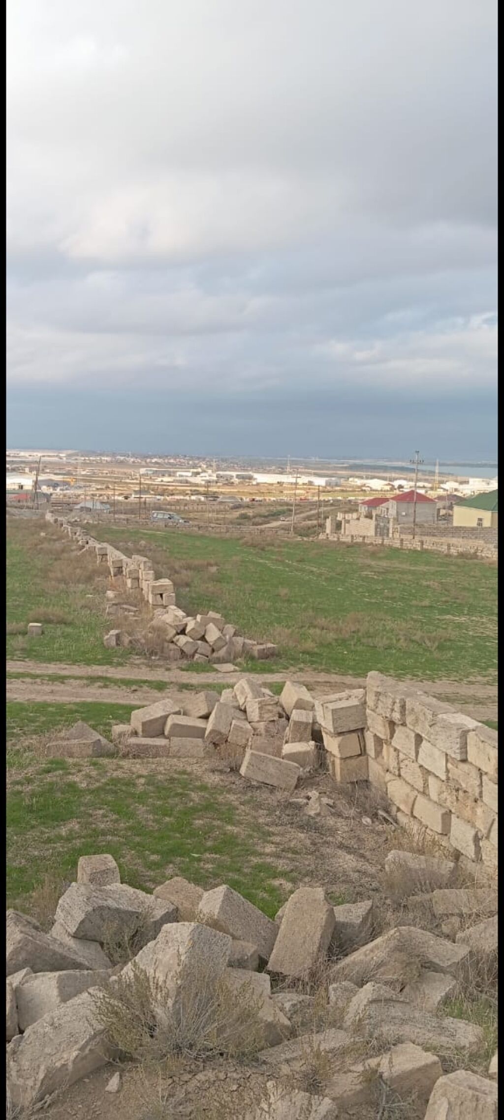 Tikinti