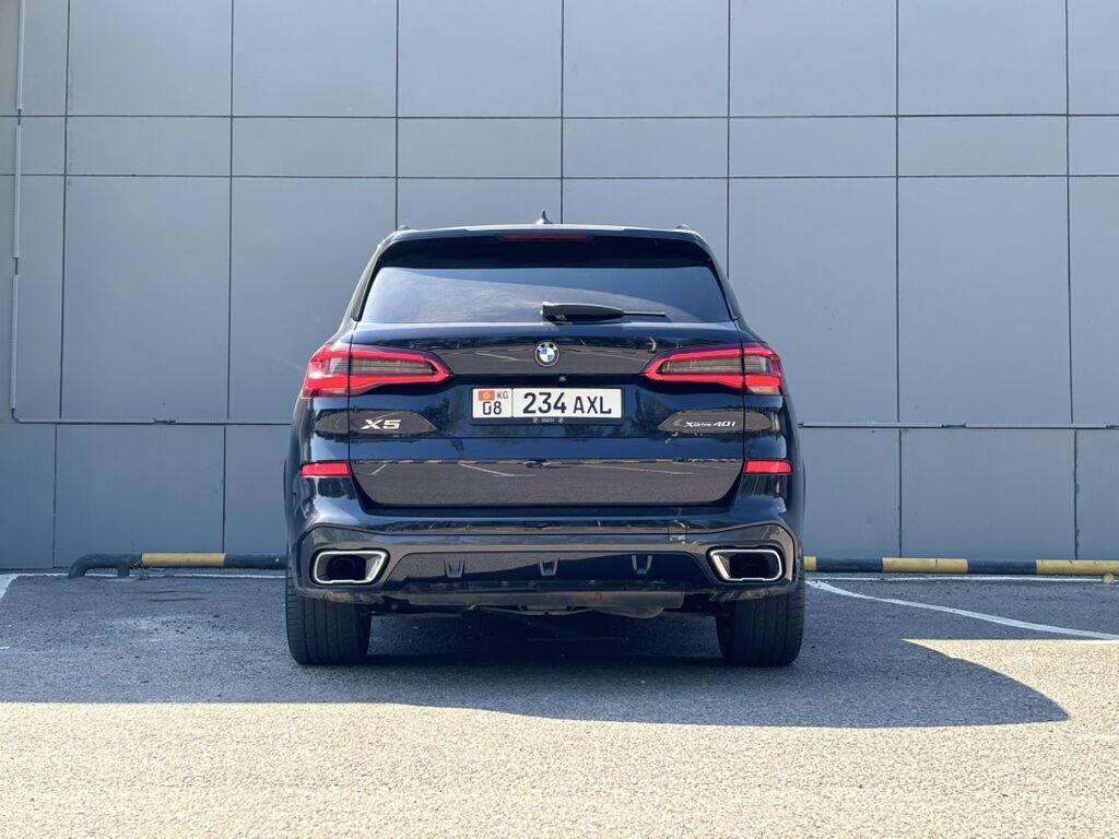 BMW X5: 2019 г., 3 л, Автомат, Бензин, Кроссовер: фото 4