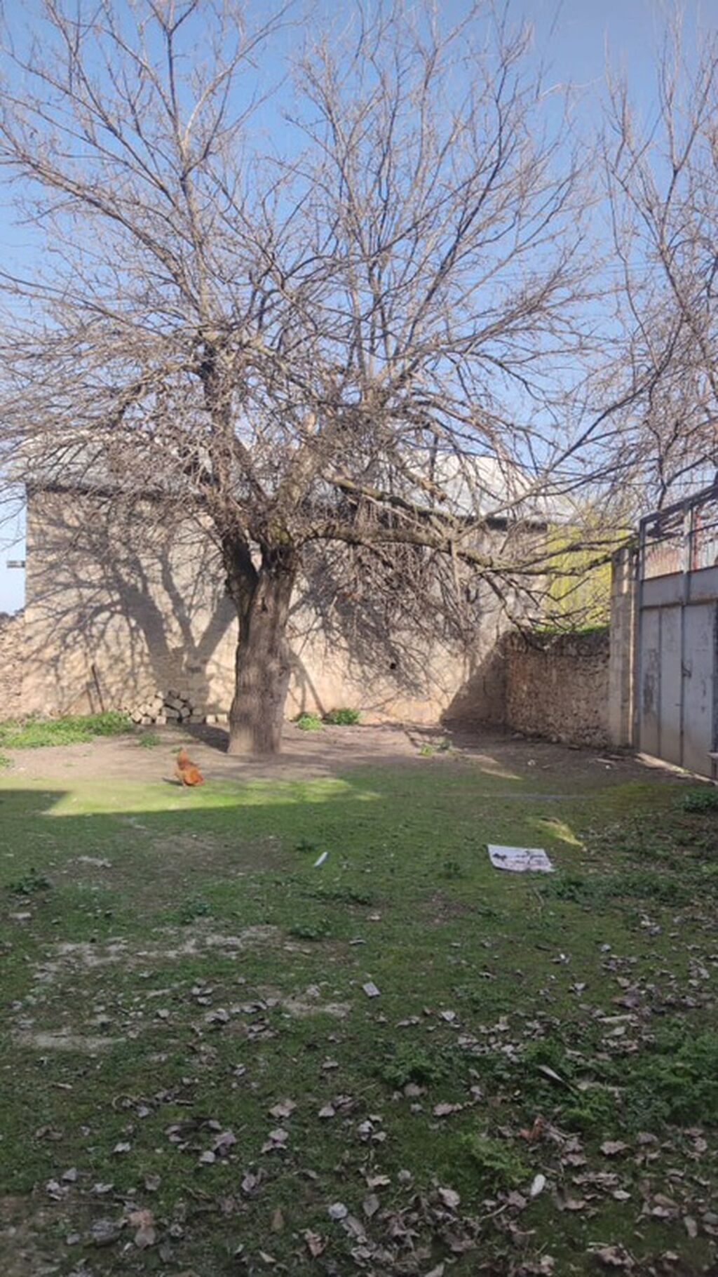 Satılır: Göy göl rayonun Yeni Zod kəndi E.Hacıyev küçəsi ev.68 A