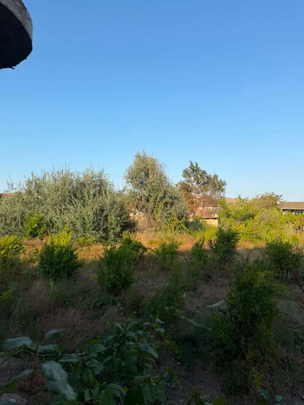 7 sot, Kənd təsərrüfatı, Kupça (Çıxarış)
