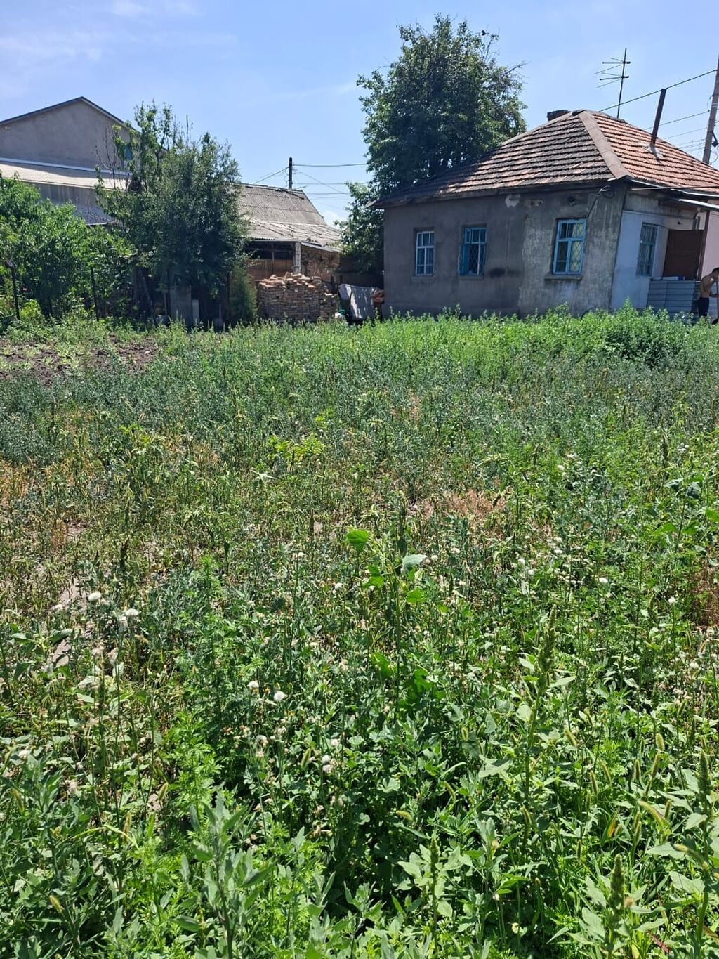 5 соток, Для строительства, Красная книга, Тех паспорт, Договор купли-продажи: фото 8