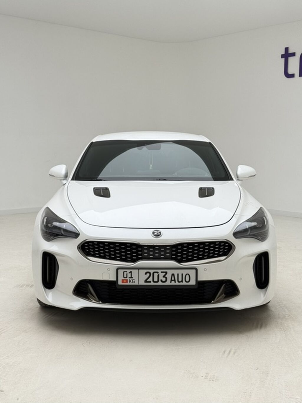 Kia Stinger: 2019 г., 2.2 л, Автомат, Дизель, Фастбек: фото 2