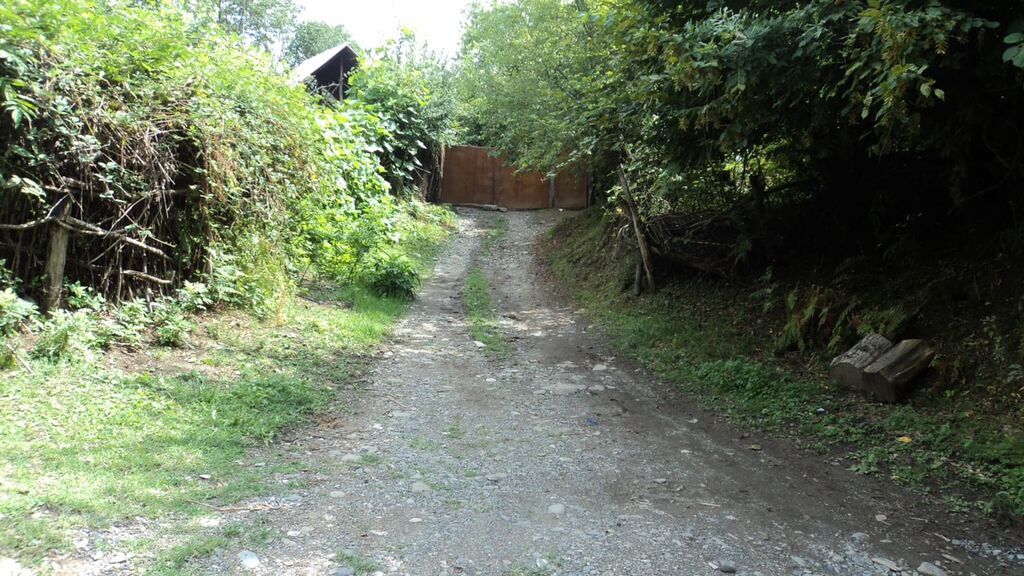 17 sot, Tikinti, Mülkiyyətçi, Kupça (Çıxarış)