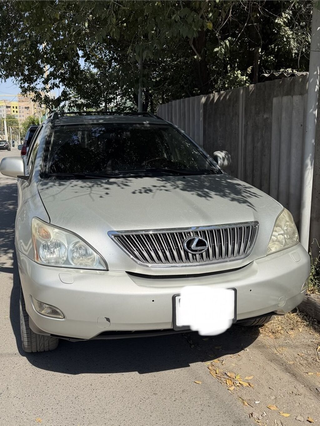 Lexus RX: 2004 г., 3.3 л, Автомат, Бензин, Кроссовер: фото 1
