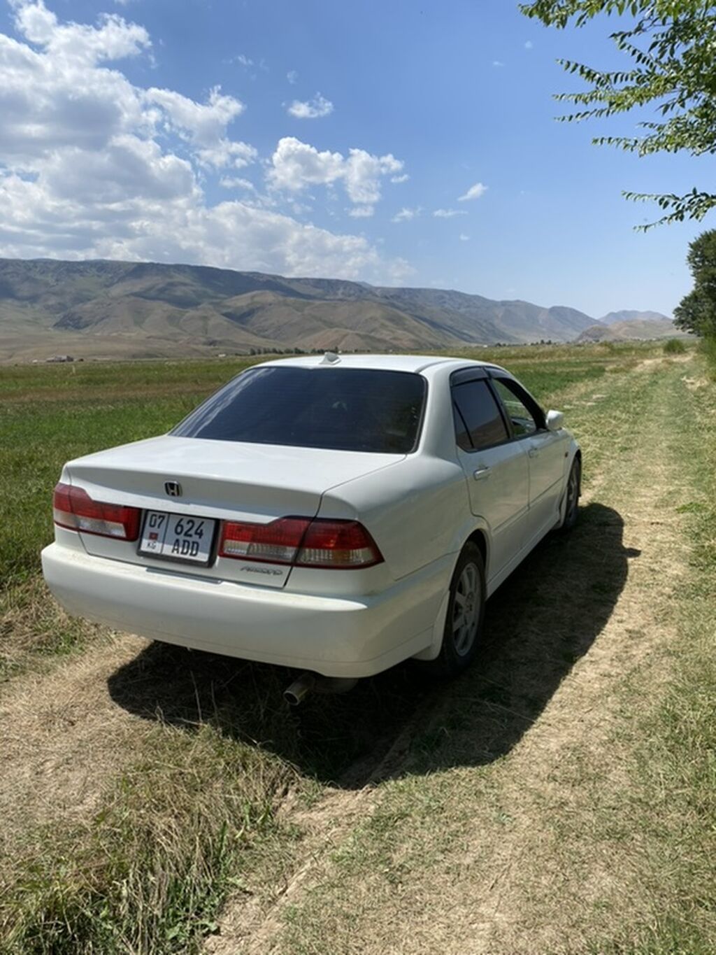 Honda Accord: 2001 г., 1.8 л, Автомат, Бензин, Седан: фото 7