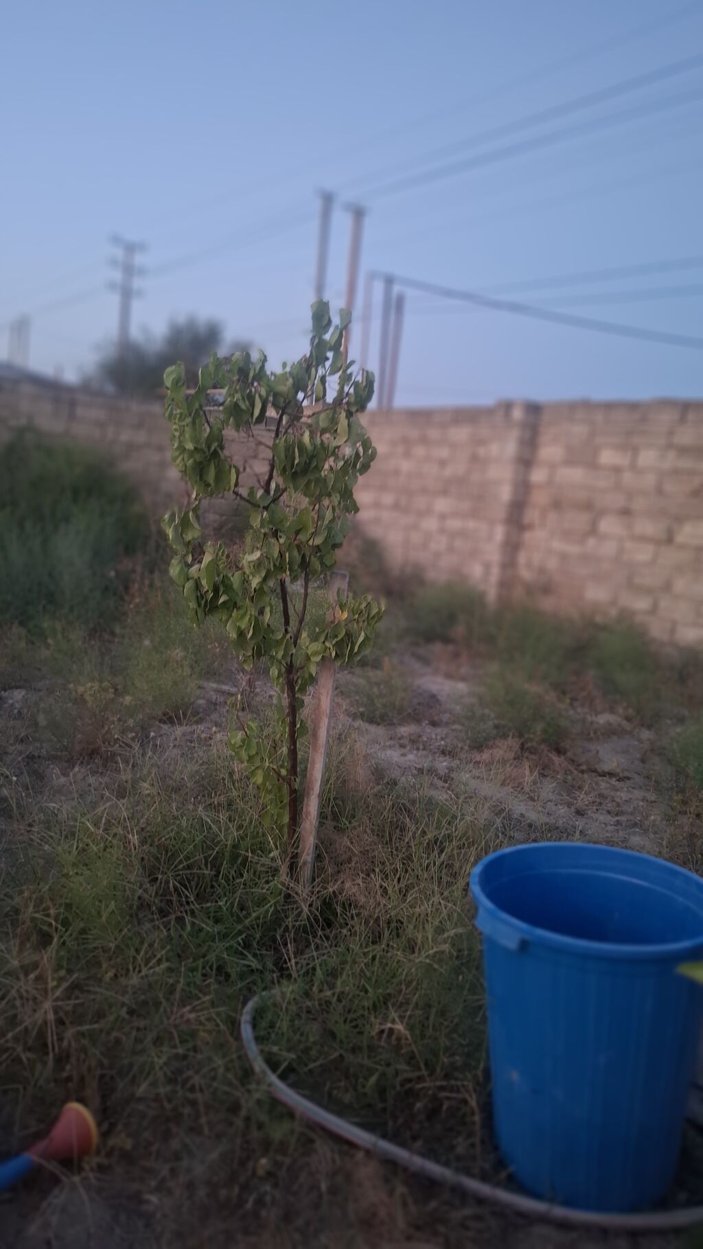 Türkan qəs. 3 otaqlı, 80 kv. m, Təmirsiz