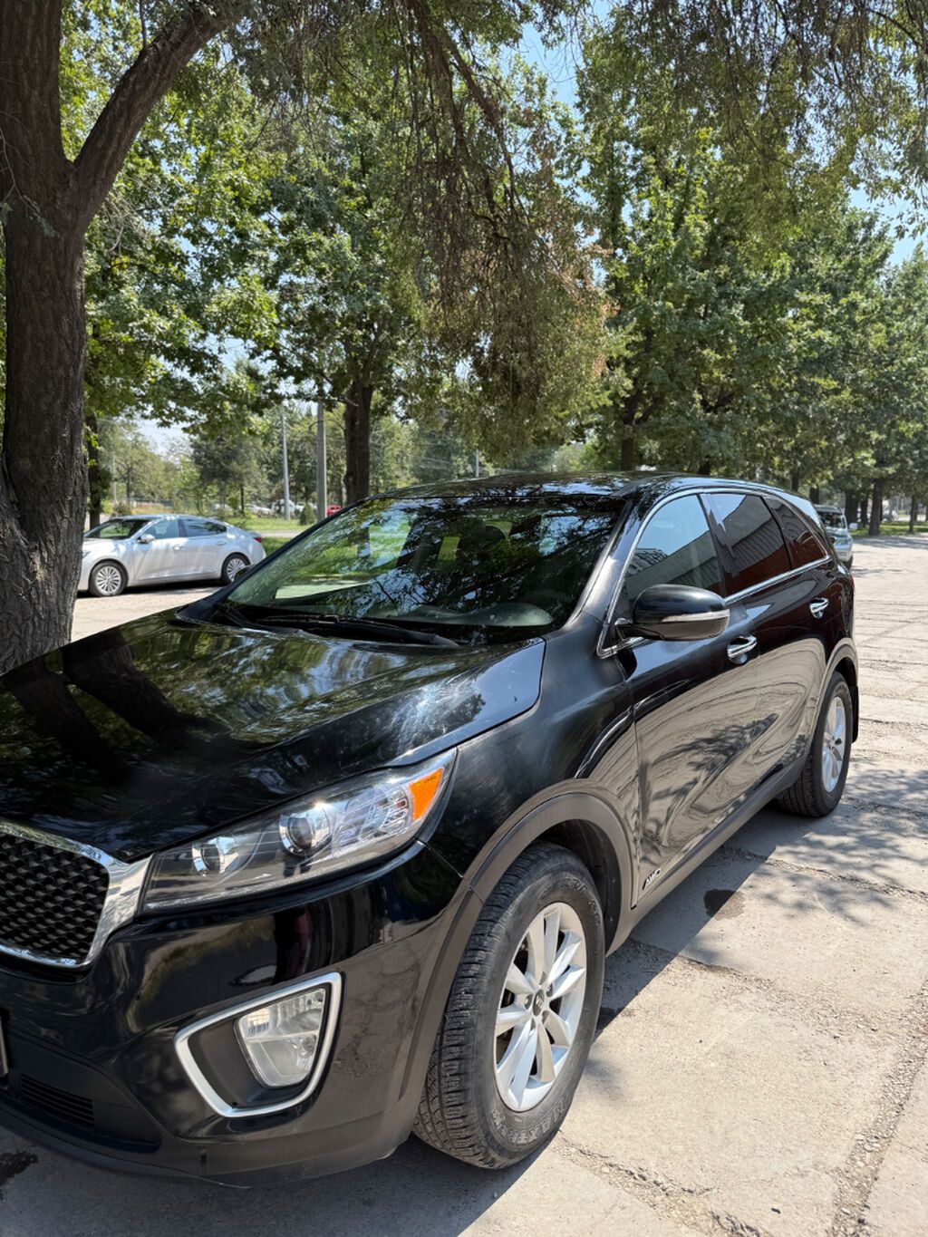 Kia Sorento: 2019 г., 2.4 л, Автомат, Бензин, Кроссовер: фото 8