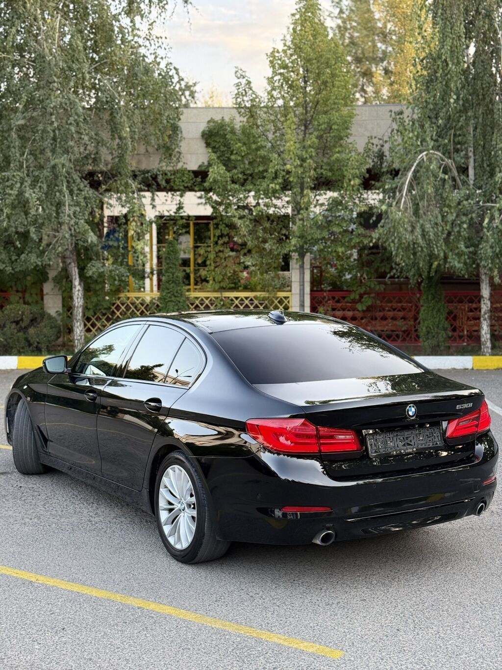 BMW 530: 2019 г., 2 л, Автомат, Бензин, Седан: фото 7