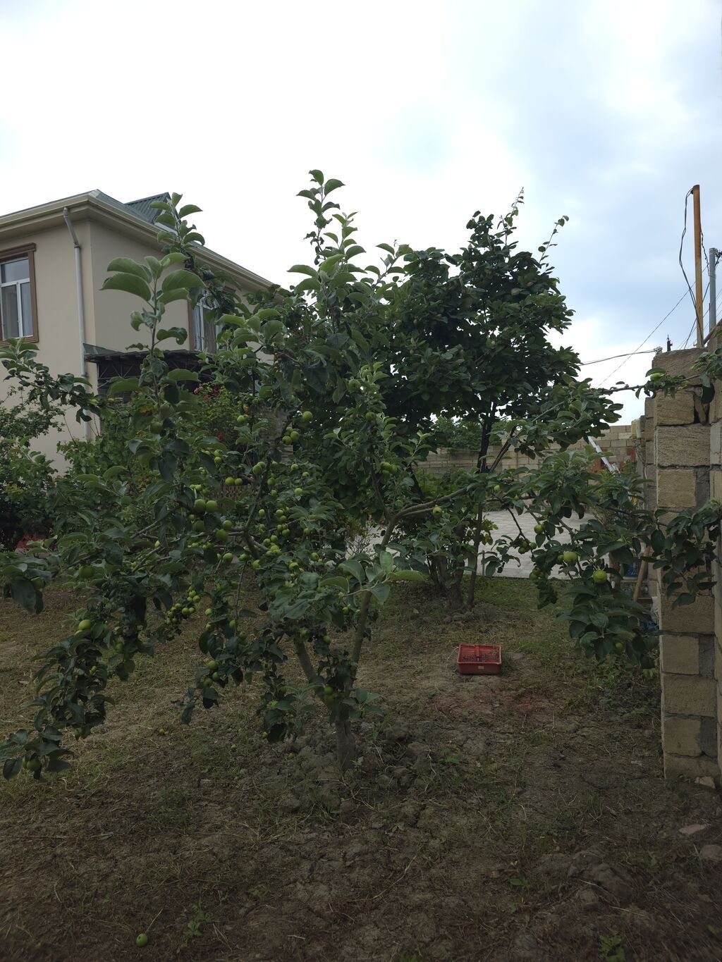 6 otaqlı, 86 kv. m, Kredit yoxdur, Orta təmir