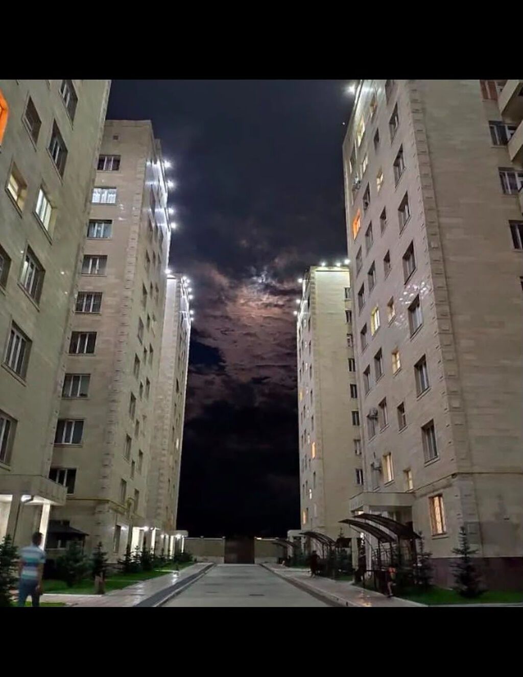 1 комната, 50 м², Элитка, Тунгуч мкр Элитка, 7 этаж, Евроремонт: фото 6