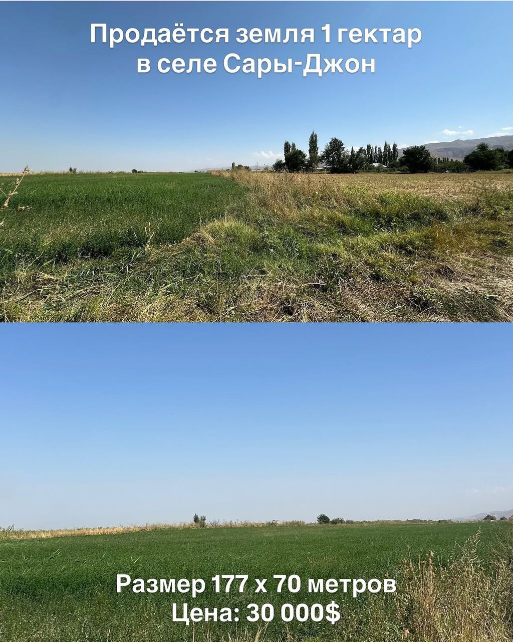 Продается участок 1 га в селе Сары-Жон