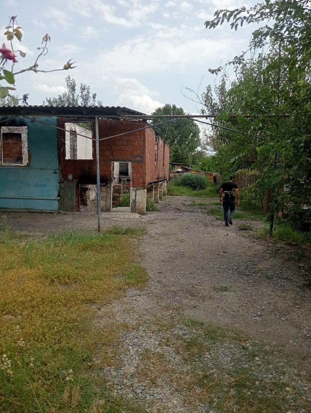 Tikinti