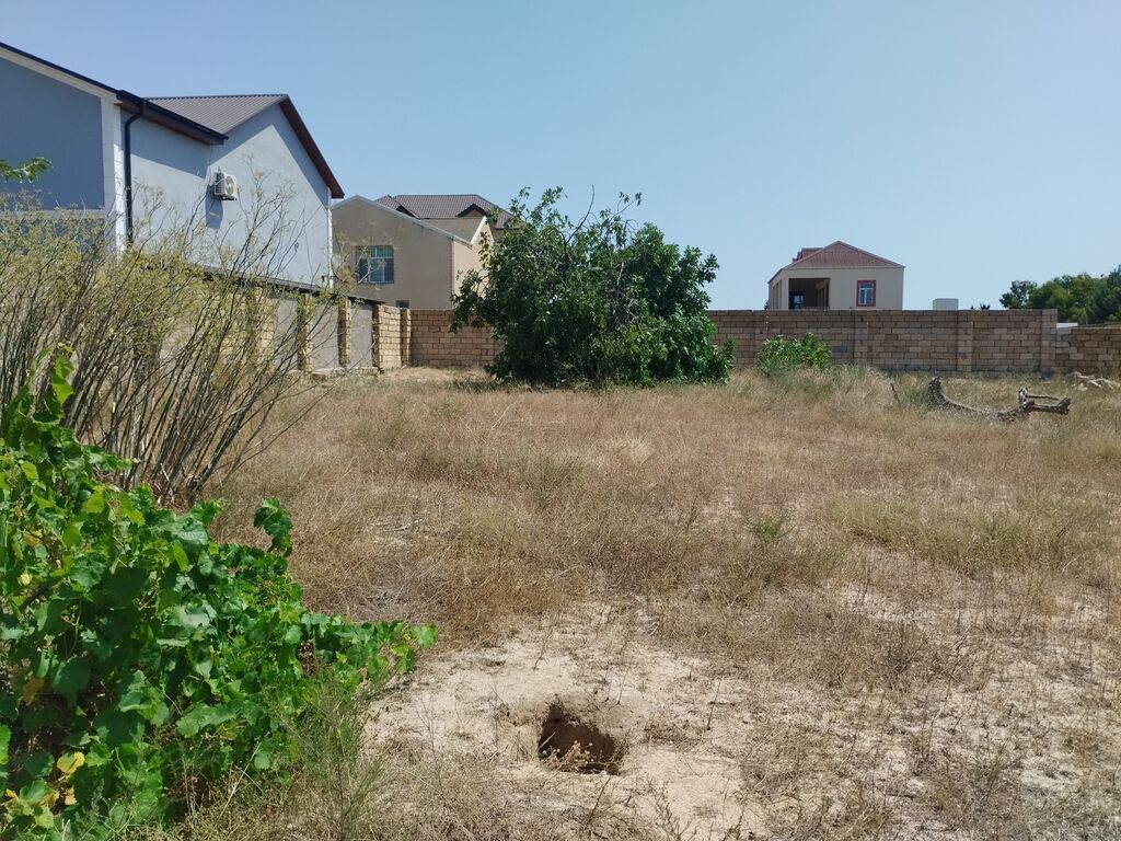 20 sot, Tikinti, Makler, Kupça (Çıxarış)