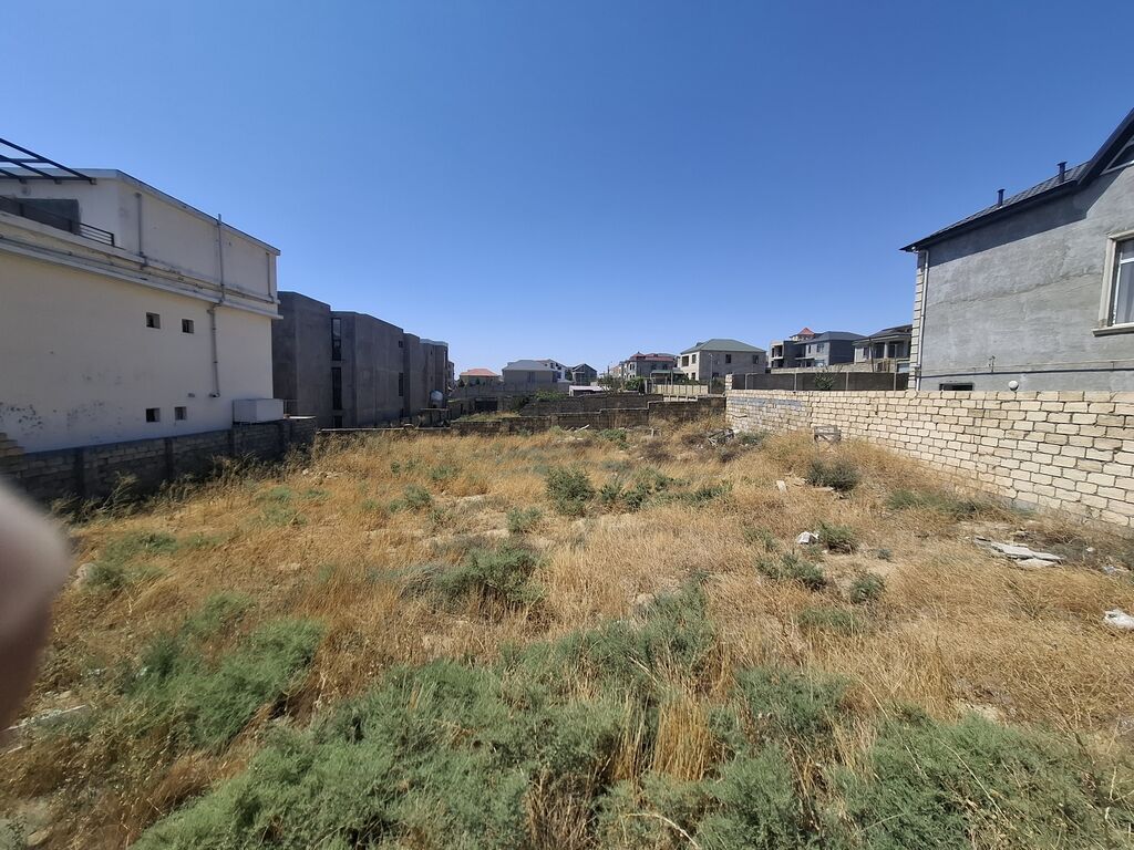 Tikinti